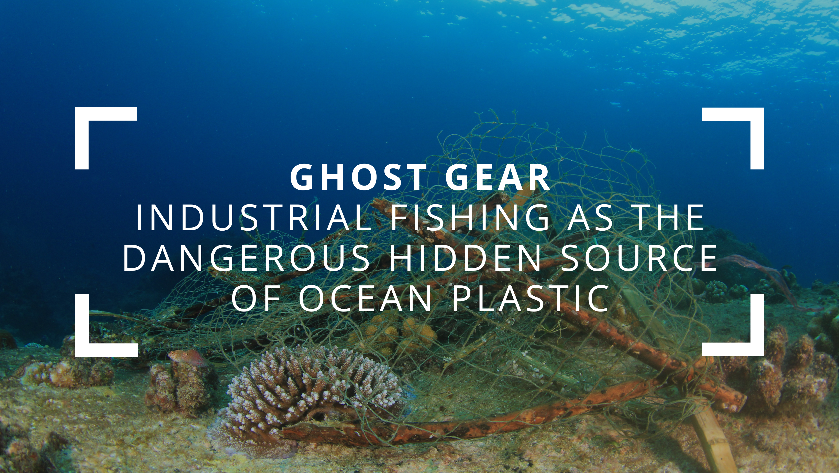 Ghost Gear: Industrial Fishing as the Dangerous Hidden Source of Ocean Plastic