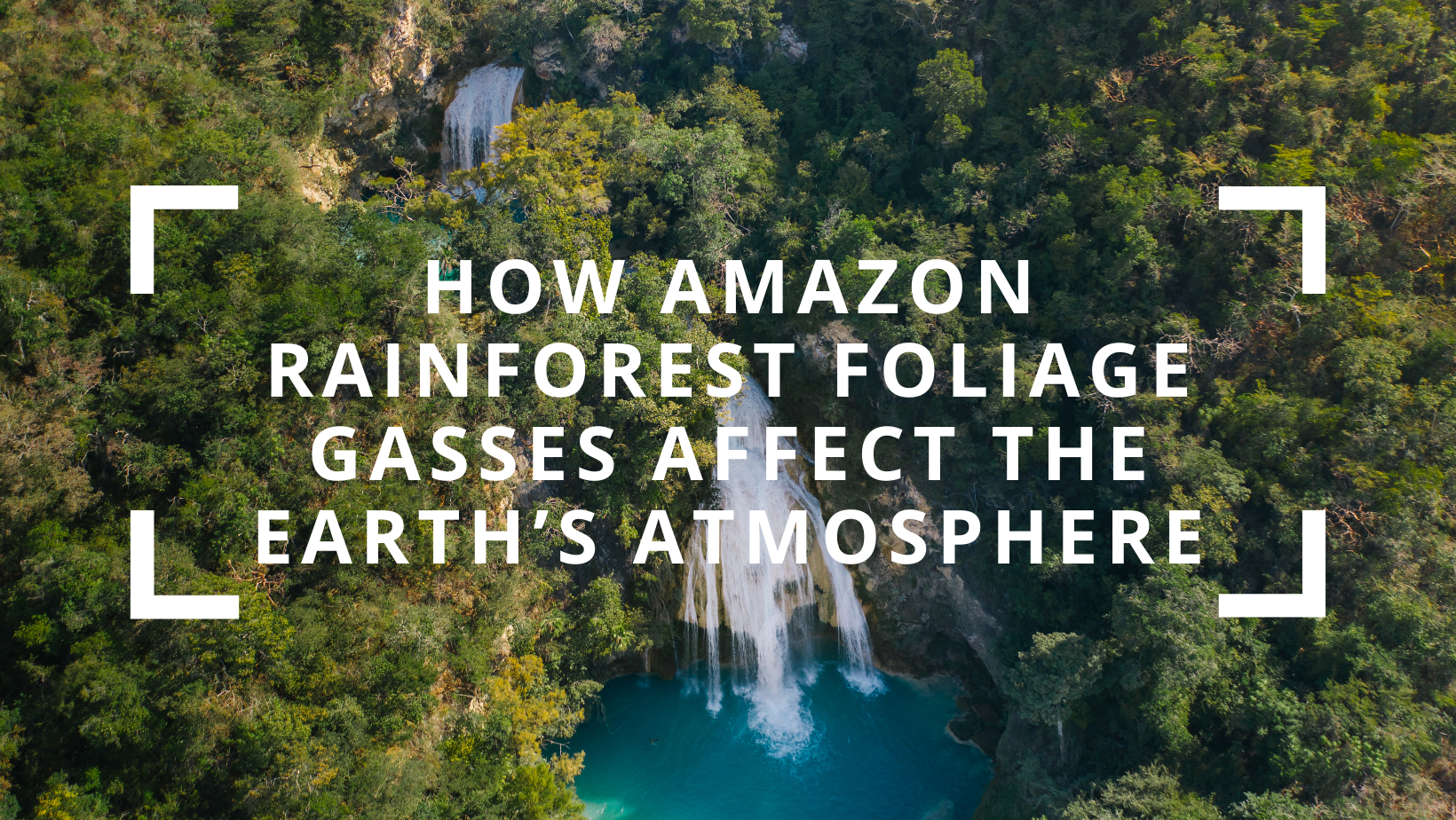 How Amazon Rainforest Foliage Gasses Affect the Earth’s Atmosphere