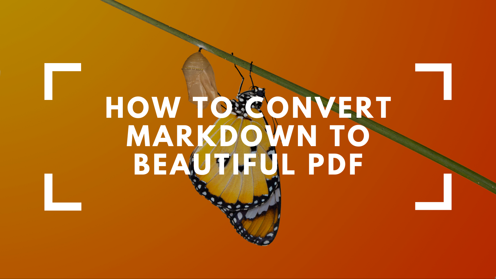How To Convert Markdown to Beautiful PDF
