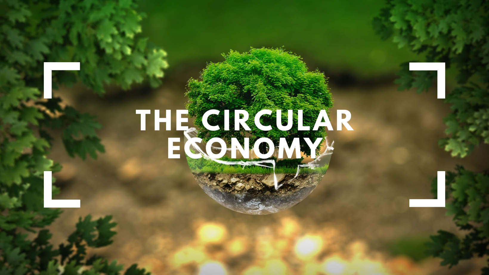 THE CIRCULAR ECONOMY